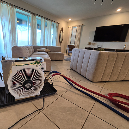 Bed Bug Removal in Pinellas County, FL