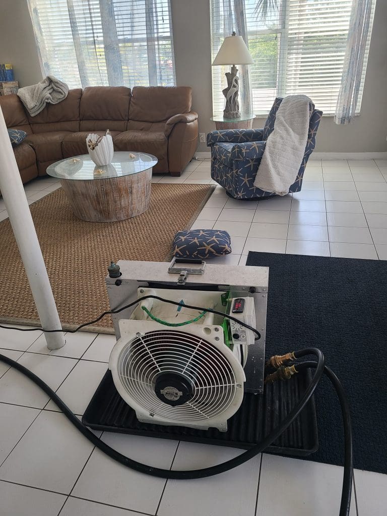 Bed Bug Removal in Largo, FL