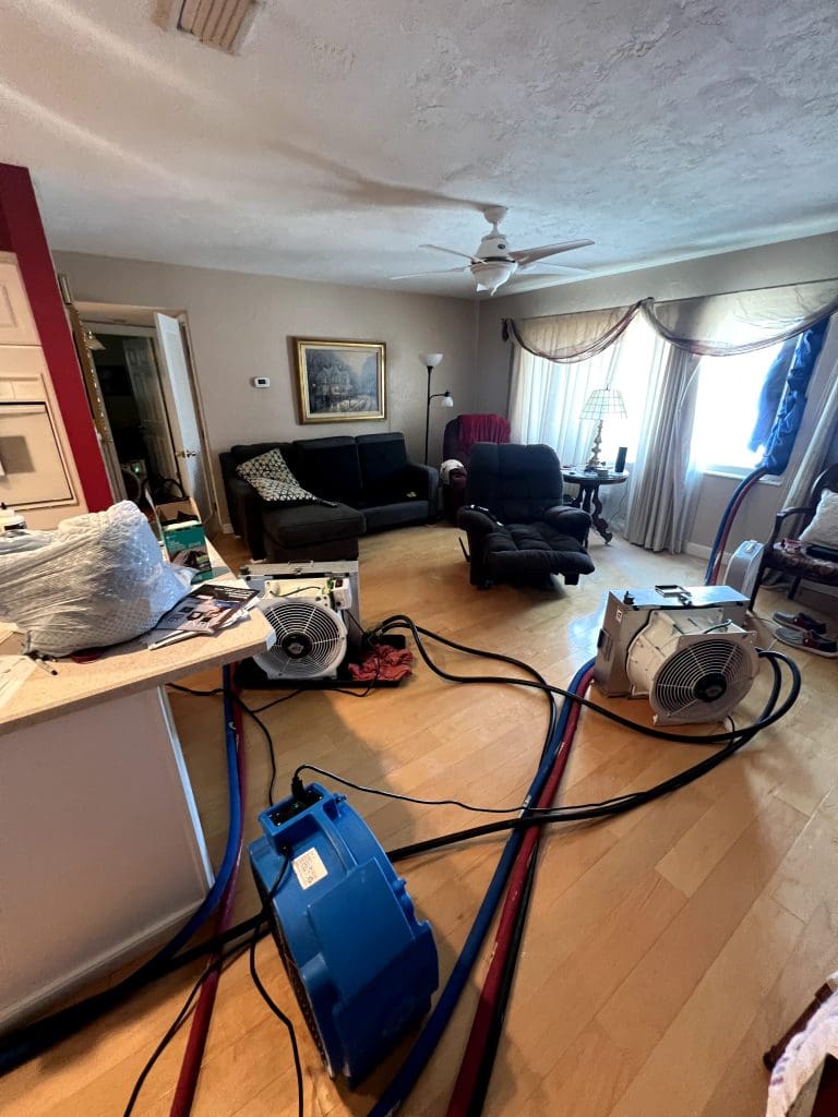 Bed Bug Removal In Anna Maria Island, FL