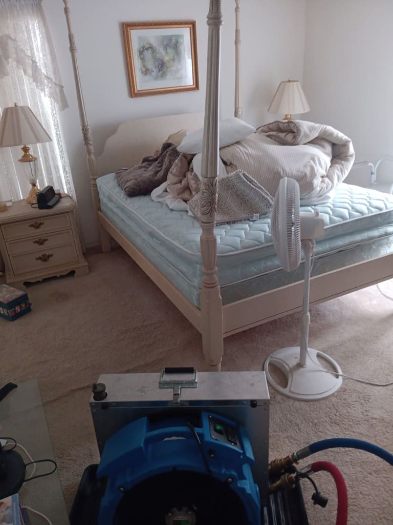 Bed Bug Services Tarpon Springs, FL