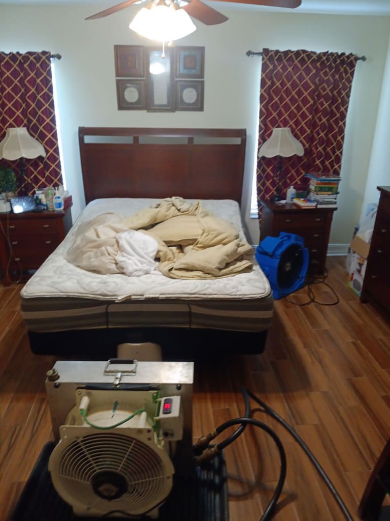 Bed Bug Removal Clermont, FL