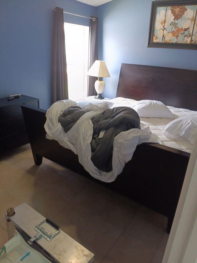 Bed Bug Treatment Gibsonton, Florida