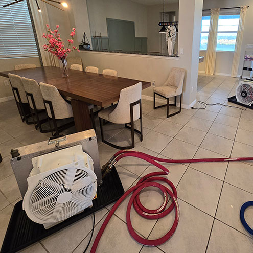 Bed Bug Removal in Redington Shores, FL