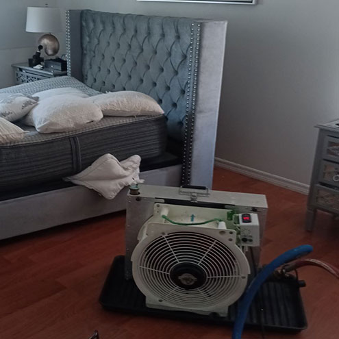 Bed Bug Removal in Apollo Beach, FL